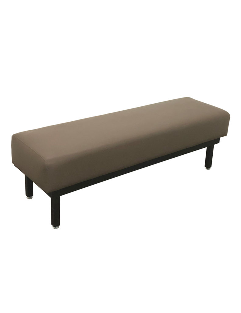 Parent Bench with Steel Frame and Upholstered Seat